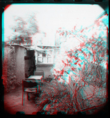 View in a Garden